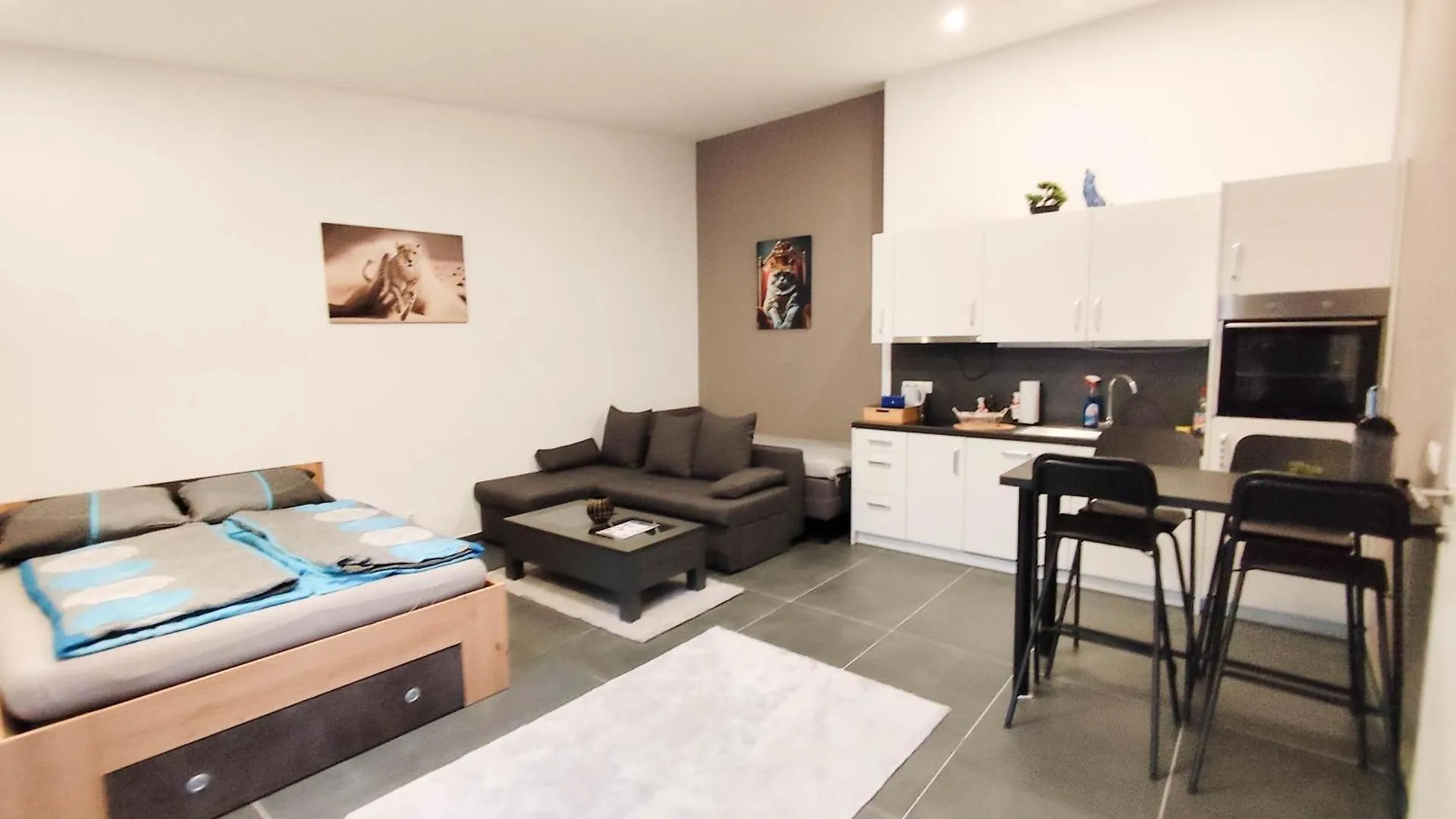 Cozy Apartments In Central Location With Free Parking Vienna